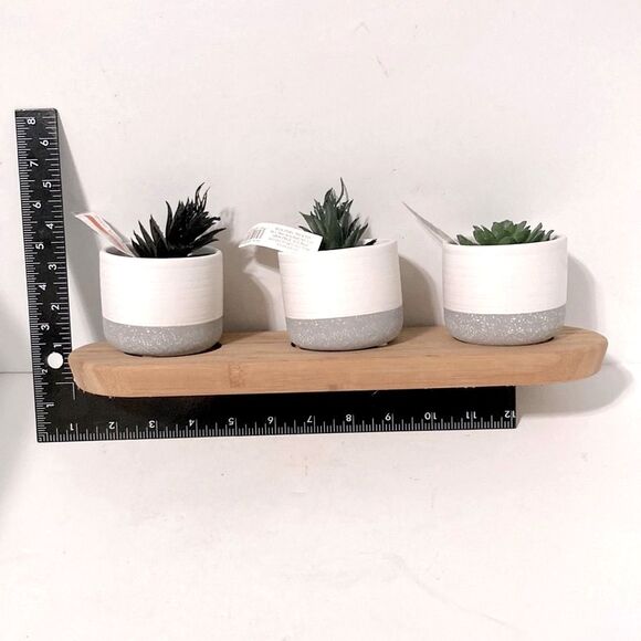 CENTERPIECE Decor Mini Faux Succulents in Ceramic Pots ASHLAND Wooden Tray - Picture 4 of 9